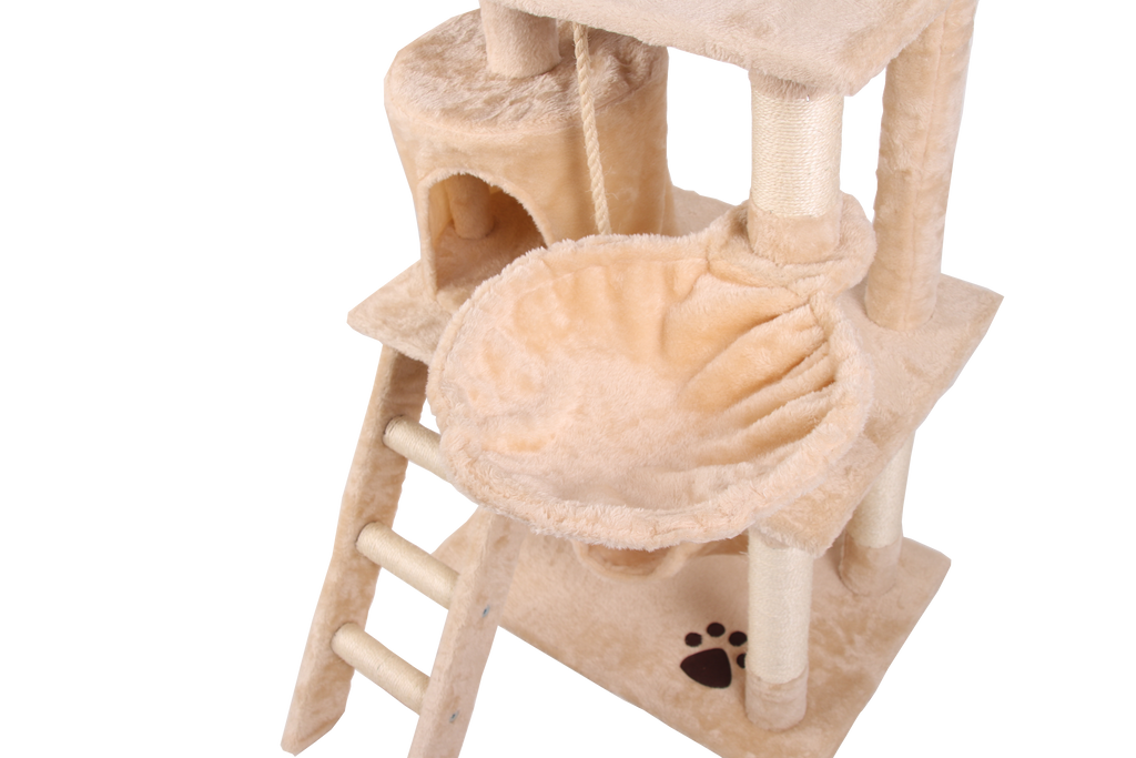 Échelles et plateformes permettant aux chats de grimper facilement