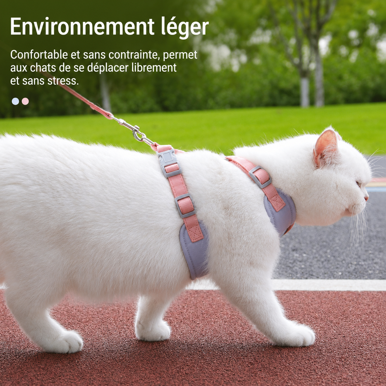 Harnais Réglable avec Laisse pour Chat