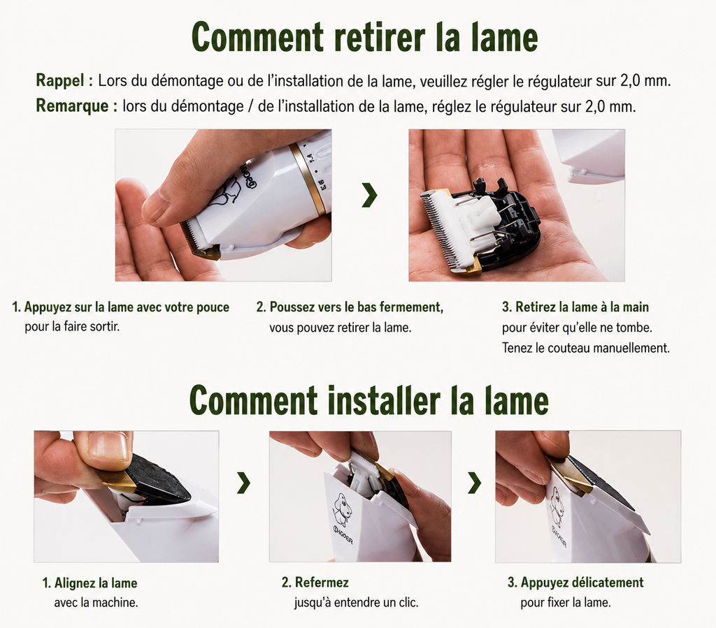 Tondeuse Professionnelle Rechargeable pour Chat