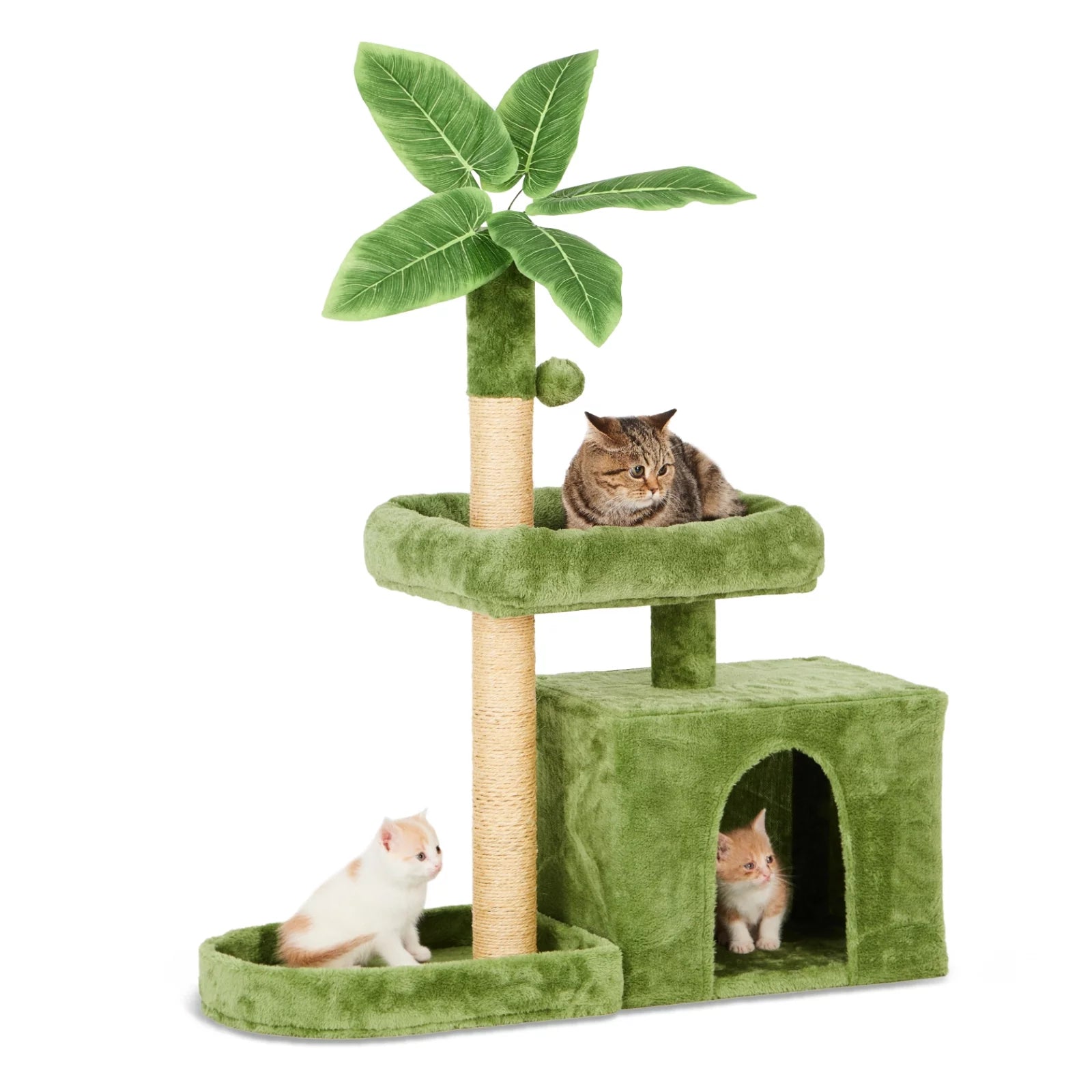 Arbre à Chat 80 cm avec Doubles Niches et Plateformes