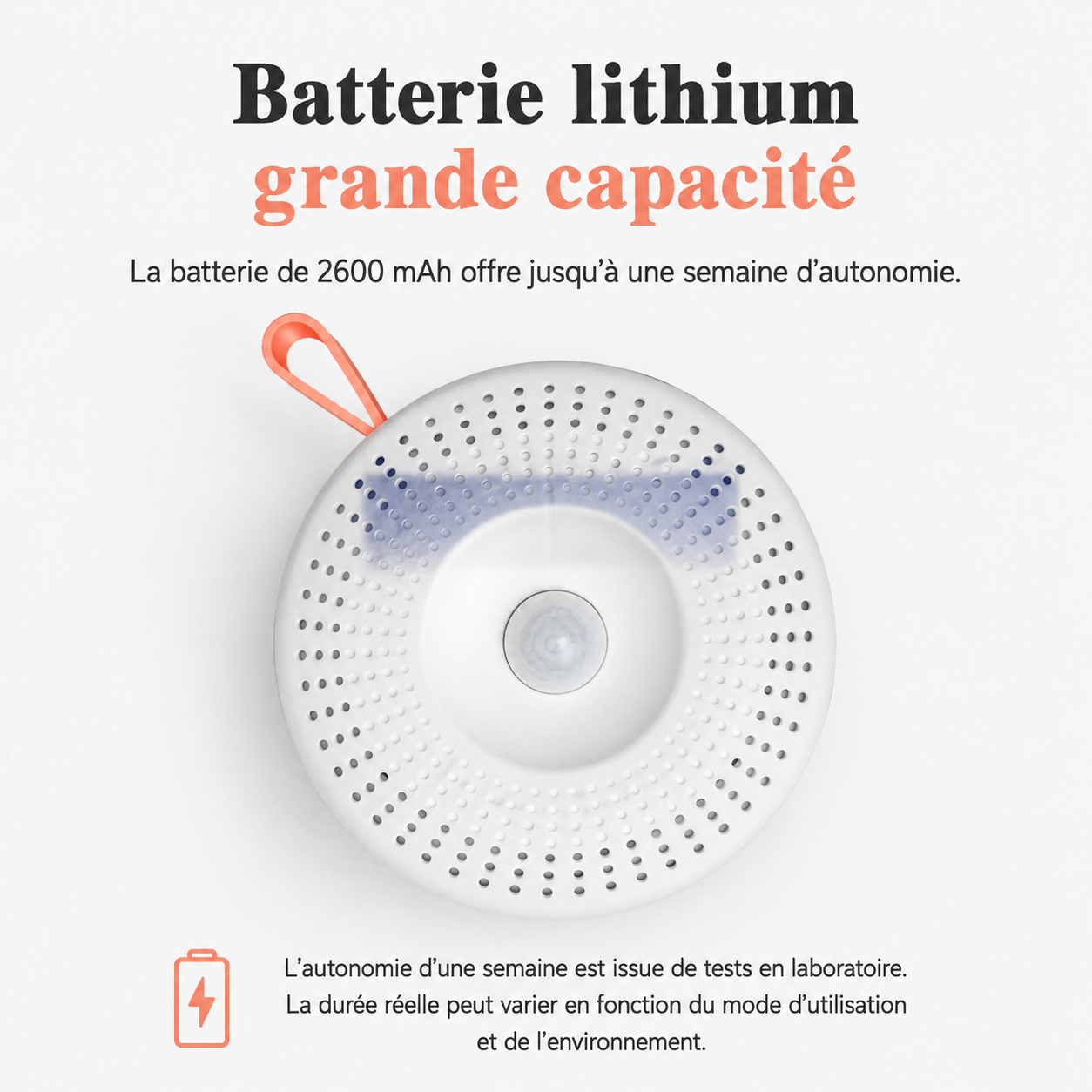 Désodorisant à Ozone Rechargeable pour Litière et Espace de Vie du Chat