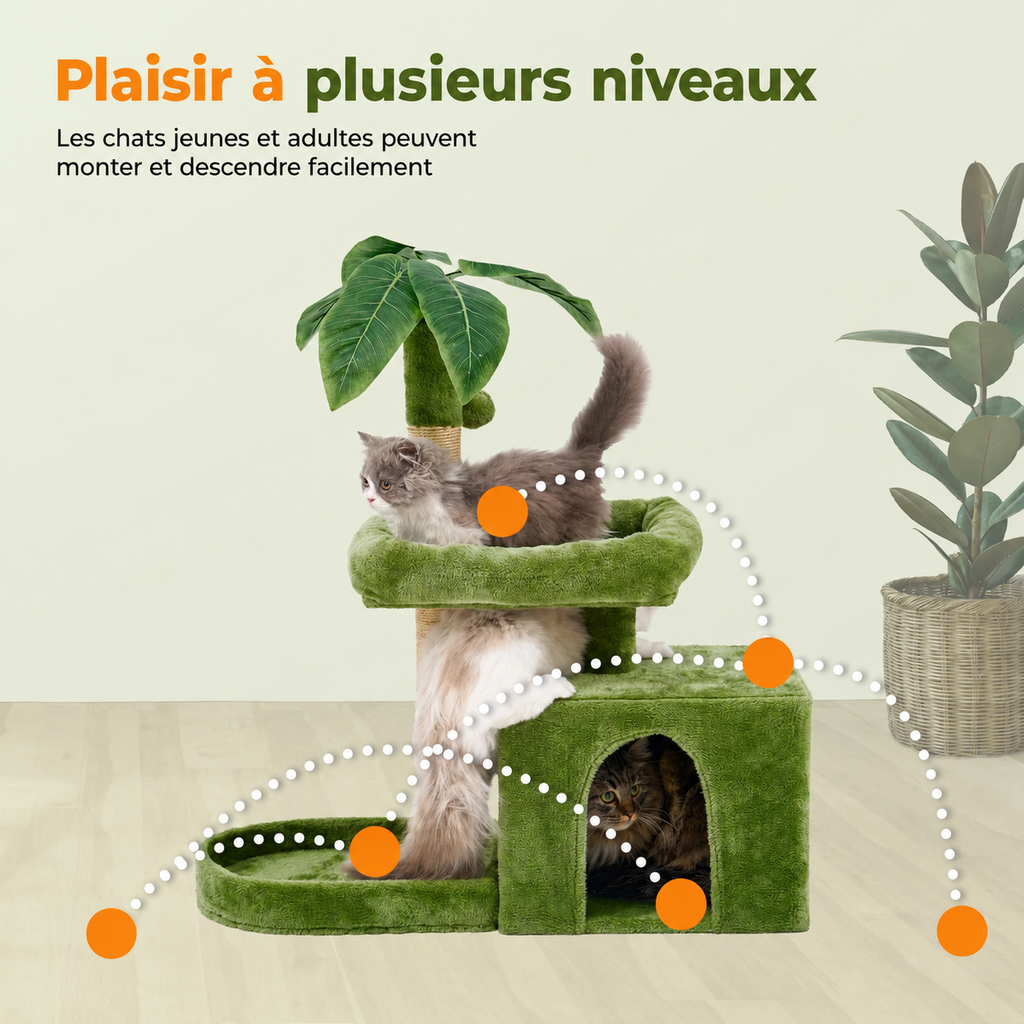 Arbre à Chat 80 cm avec Doubles Niches et Plateformes