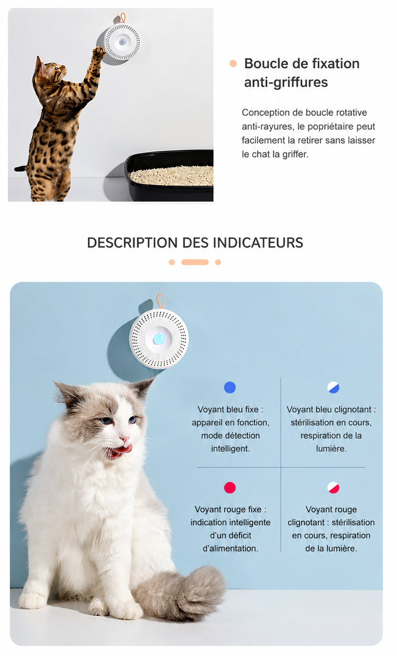 Désodorisant à Ozone Rechargeable pour Litière et Espace de Vie du Chat